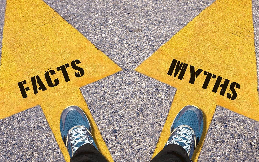 feet standing on yellow arrows depicting fact and myths